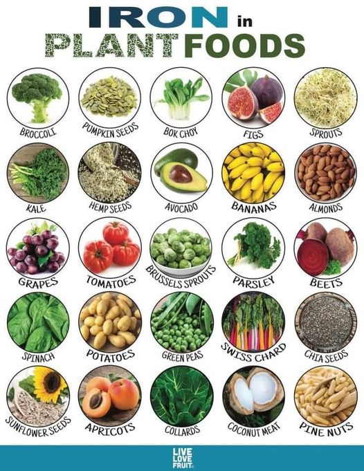 鉄分が多く含まれる野菜果物